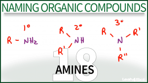 Nomenclature Amines Tutorial Video Leah Fisch Organic Chemistry