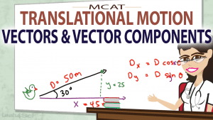 Vectors and Vector Components in MCAT Translational Motion Video by Leah4sci