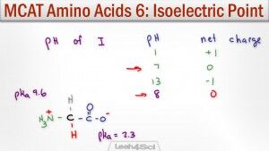 Amino Acid Isoelectric Point Calculation by Leah4sci