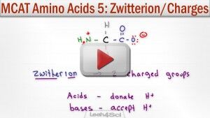 Zwitterion and Amino Acid Charges given pH pKa tutorial video