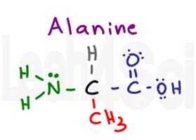 alanine structure