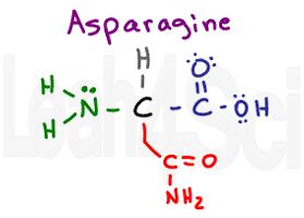 asparagine structure
