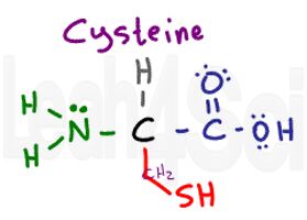 cysteine structure