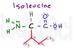 isoleucine structure