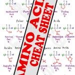 mcat-amino-acids-Cheat-Sheet-preview