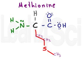 methionine structure