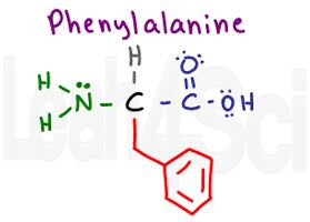 phenylalanine structure