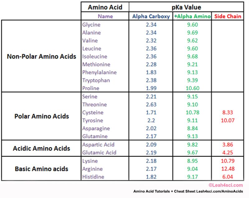 pka amino acids table