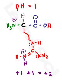 arginine protonated +2 form
