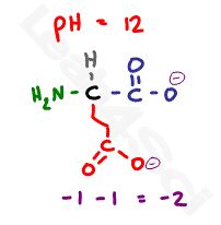 glutamate deprotonated -2 structure
