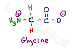 glycine zwitterion structure