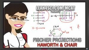 Converting Fischer to Haworth and Chair for D-glucose