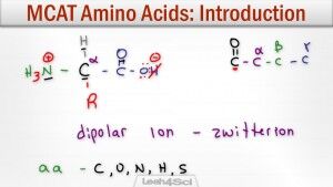 Amino Acids Intro to Structure Charge Classification and Reactions