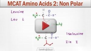 Hydrophobic Amino Acids Neutral Non Polar tutorial Video by Leah Fisch