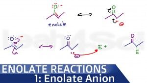 Enolate Anion Formation Intro to Enolate Reactions