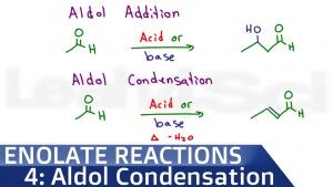 Aldol Addition Condensation Reaction Mechanism