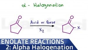 Alpha Halogenation Of Ketones and Aldehydes