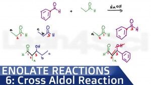 Mixed Cross Aldol Reaction Leah Fisch