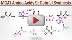 Gabriel Malonic Ester Alpha Amino Acid Synthesis Tutorial Video