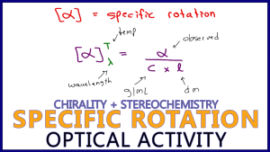 Specific Rotation in Optical Activity in Chirality & Stereochemistry Video Tutorial Series by Leah Fisch