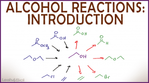 Introduction to Alcohol Properties and Reactions in Organic Chemistry by Leah Fisch