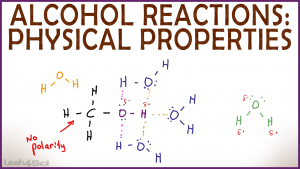 Physical Properties of Alcohol Solubility and Boiling Point in Organic Chemistry by Leah Fisch