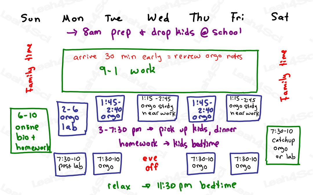 Organic Chemistry Study Schedule balancing work and family and school by Leah4sci