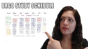 Organic Chemistry Study Schedule by Leah4sci