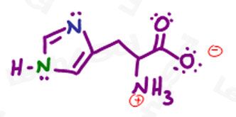 aromaticity of histidine practice question