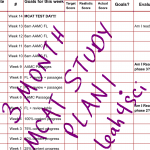 MCAT 3 Month Study Plan Leah4sci Sample for PDF Download