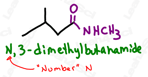 Naming substituted amide example N,3-dimethylbutanamide