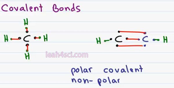 Orgo basics 1_scap5