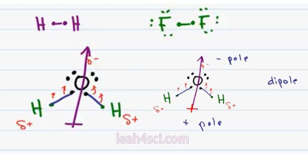 Orgo basics 1_scap6