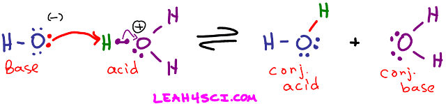 H3O+ OH- to H2O autoionization of water