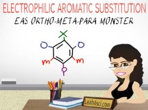 ortho meta para monster