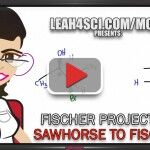 Sawhorse to Fischer Projections orgo tutorial video