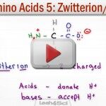 Zwitterion and Amino Acid Charges given pH pKa tutorial video