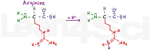 arginine structure