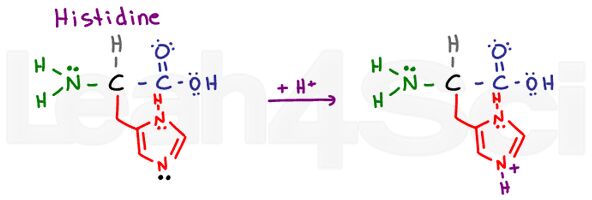 histidine structure