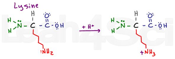 lysine structure