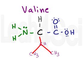 valine structure