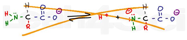 amino acid amine deprotonation reaction equilibrium