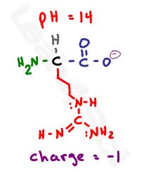 arginine deprotonated negative amino acid structure