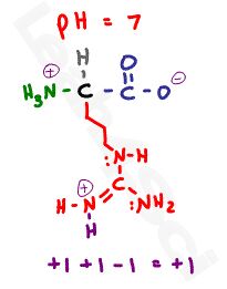 arginine protonated side chain structure