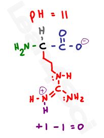 arginine zwitterion amino acid structure