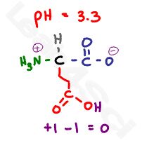 glutamic acid zwitterion neutral form