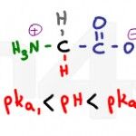 glycine protonated and deprotonated