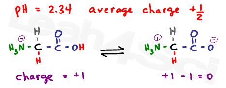 glycine protonated and deprotonated equilibrium