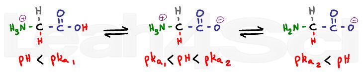 glycine protonated and deprotonated