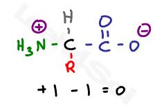 zwitterion structure of amino acid